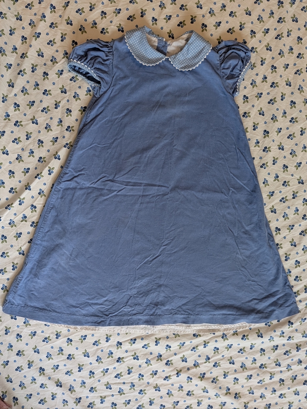 Claire and Charlie Puff Sleeve Dress